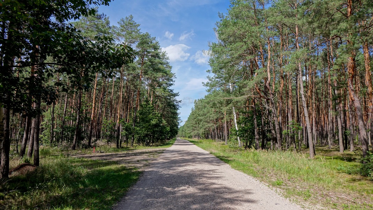Sierpień w obiektywie - zdjęcie 23
