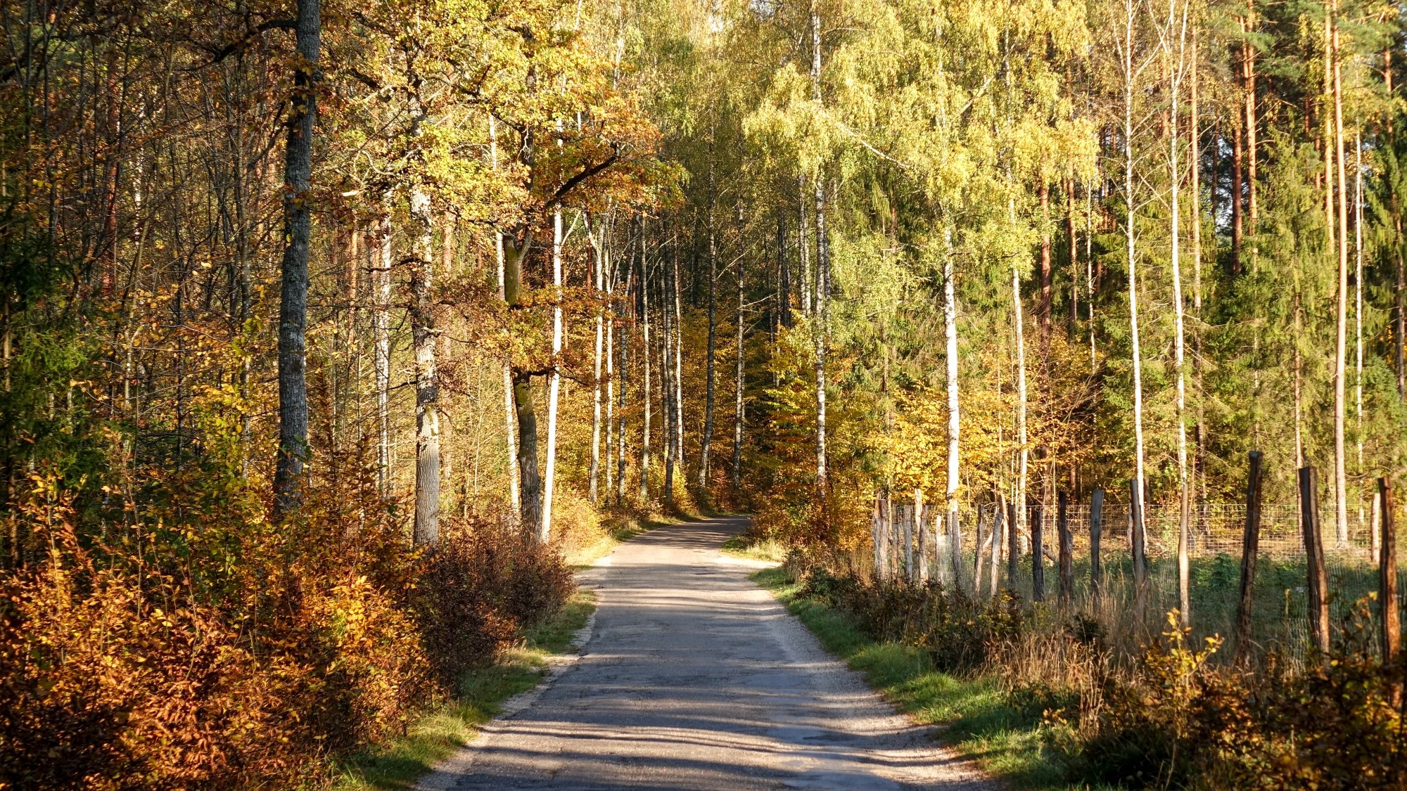 Urocze zakątki w lasach - zdjęcie 61