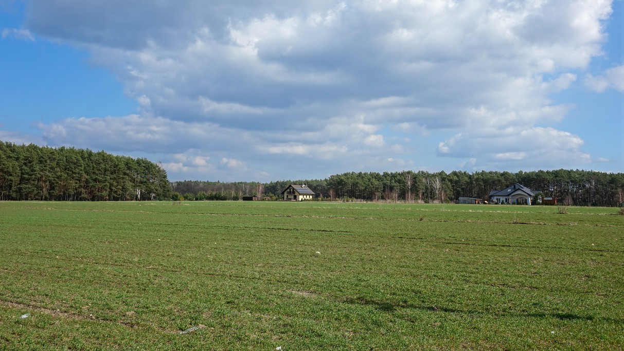 Marzec w obiektywie - zdjęcie 18