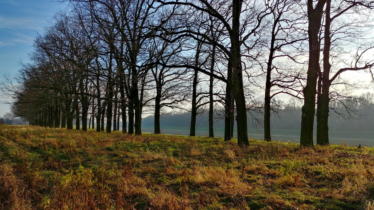 Grudzień w obiektywie - zdjęcie 6