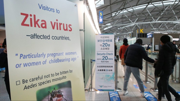 Wirus Zika w Korei Południowej. Zakażony mężczyzna został pogryziony przez komary w Brazylii
