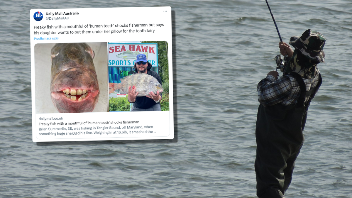 USA: Złowił niespotykaną rybę. Ma "ludzkie zęby"