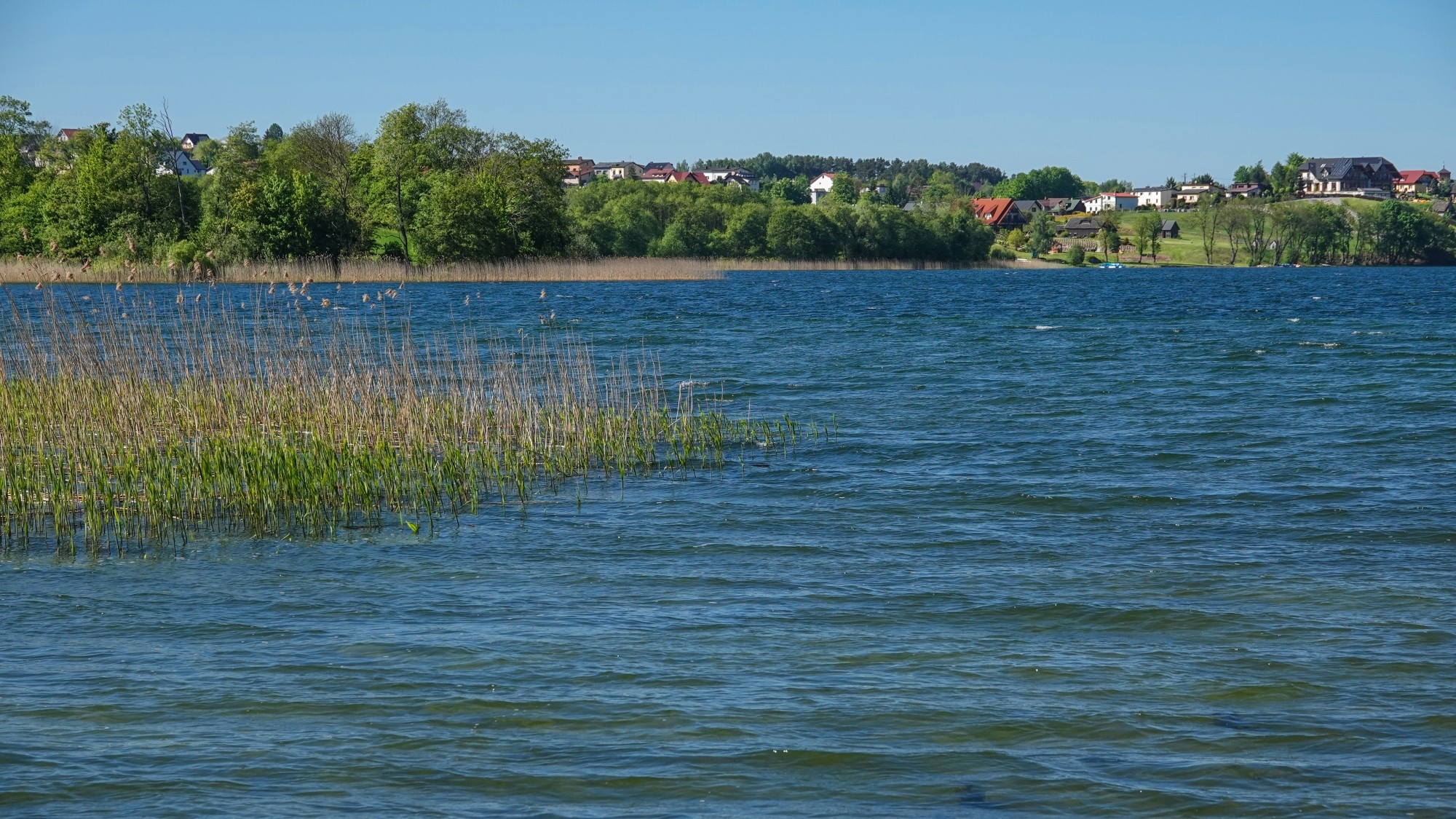 Lato w plenerze - zdjęcie 31