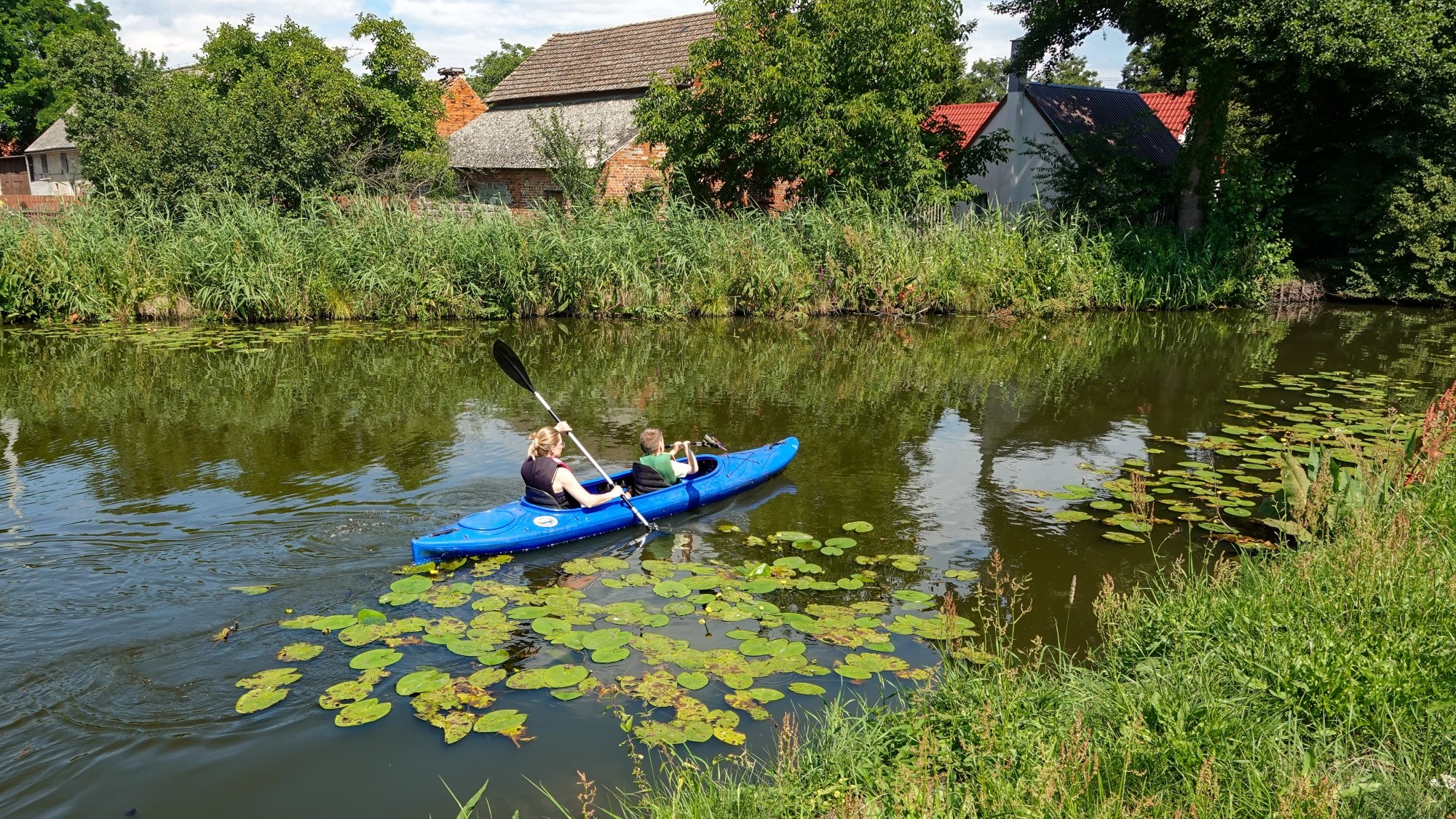 Środek lata w plenerze - zdjęcie 12