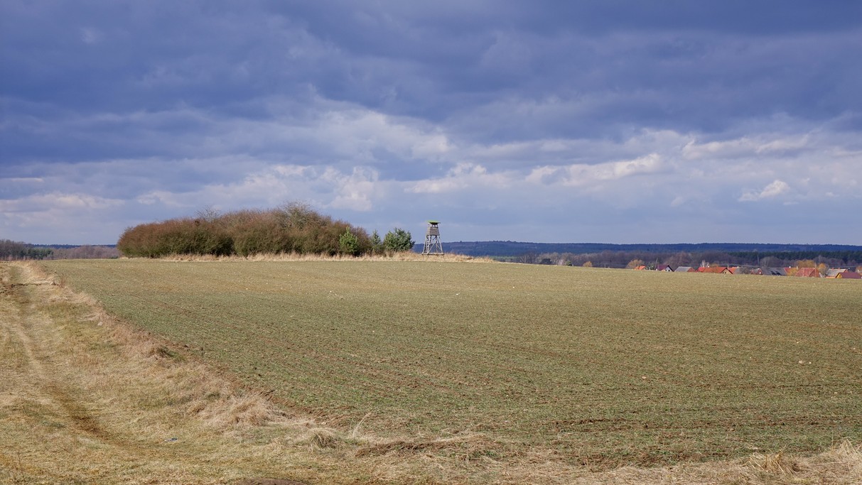 Marzec w obiektywie - zdjęcie 31