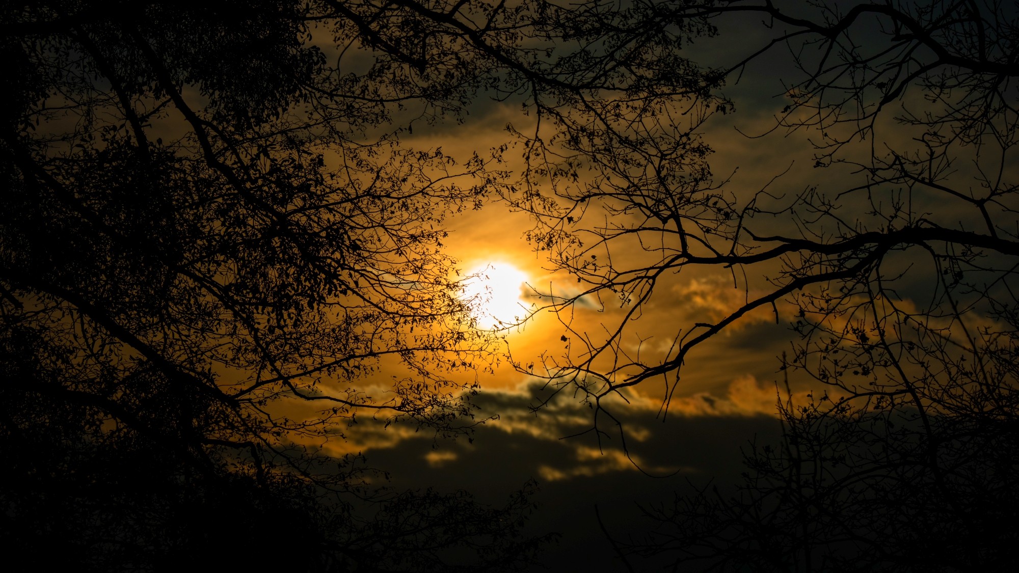 Różne oblicza zimy - zdjęcie 32