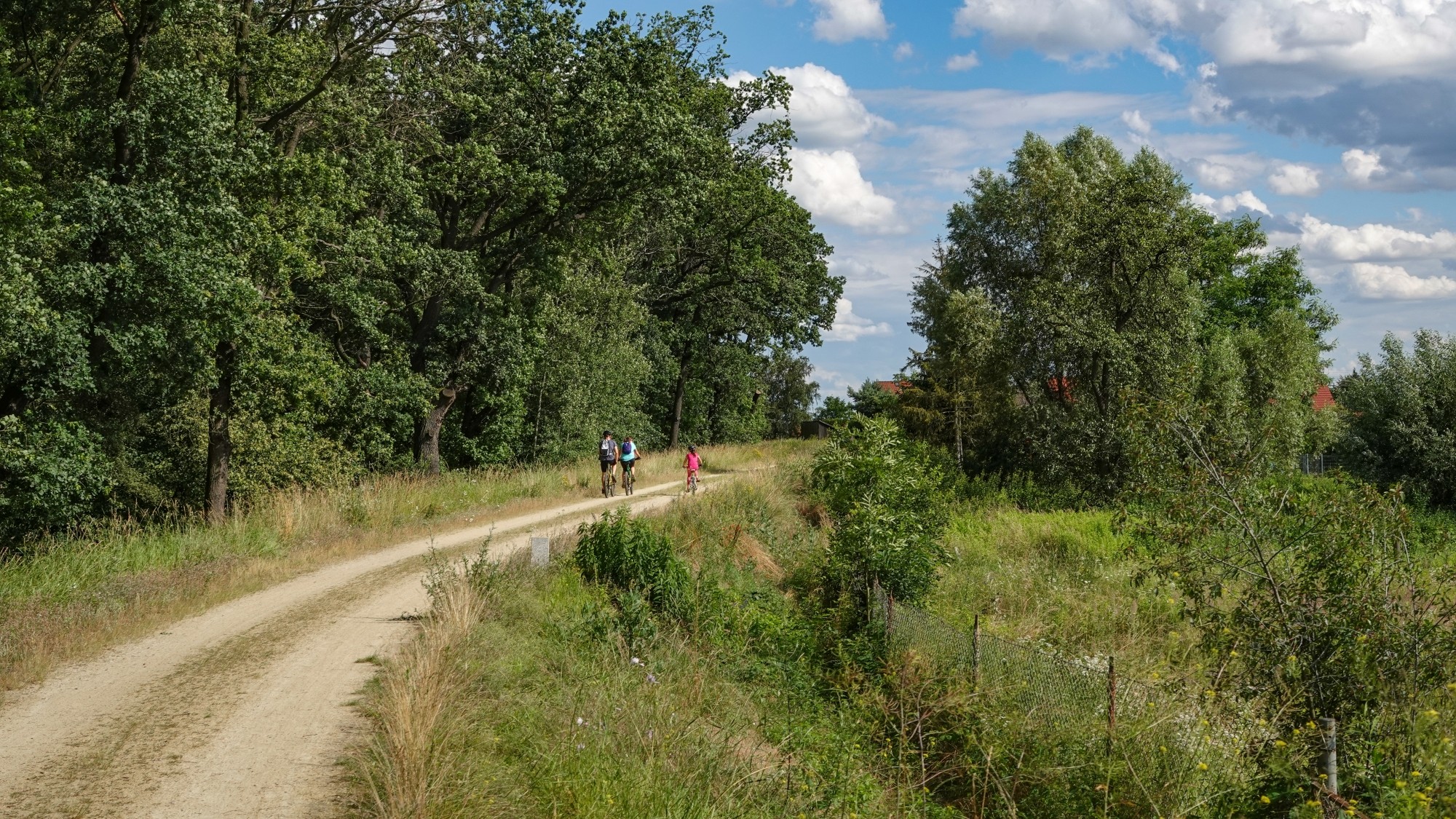 Środek lata w plenerze - zdjęcie 47