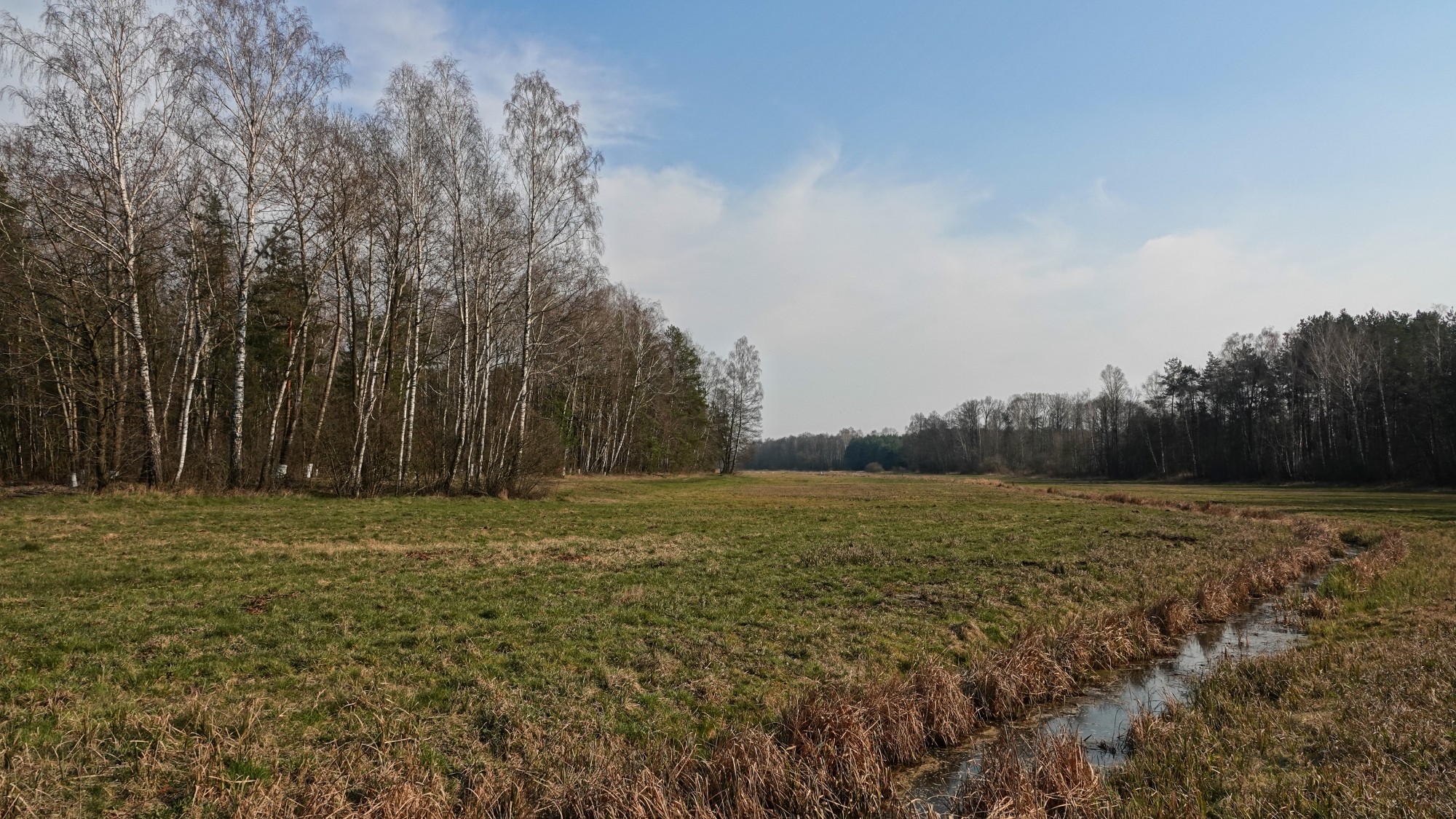 Marzec w obiektywie - zdjęcie 64