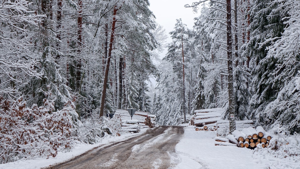 Najpiękniejsze polskie drogi - zdjęcie 13