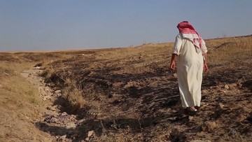Masowy grób ofiar Państwa Islamskiego. Setki ciał odkryto na pustyni