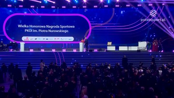 Materiał "Krzywda Kosza"