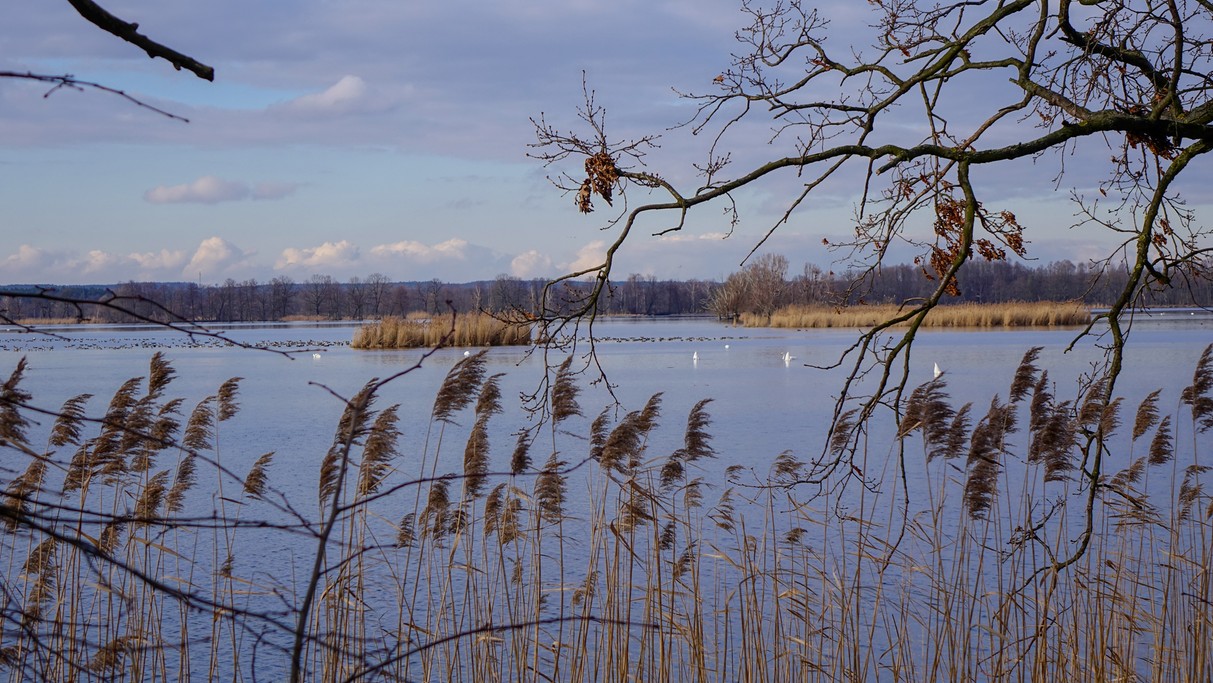 Luty w obiektywie - zdjęcie 20