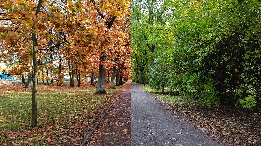 Porównanie jesieni 18 października w 2019 roku (po lewej) i w 2016 roku (po prawej). Fot. TwojaPogoda.pl