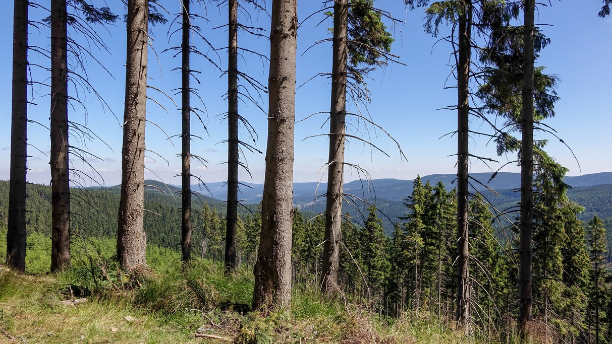 Lipiec w obiektywie - zdjęcie 24