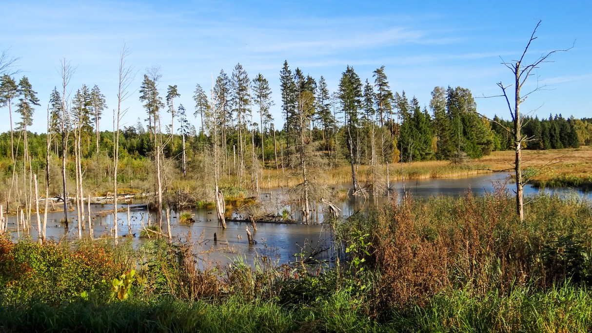 Zakochaj się w Polsce - zdjęcie 39