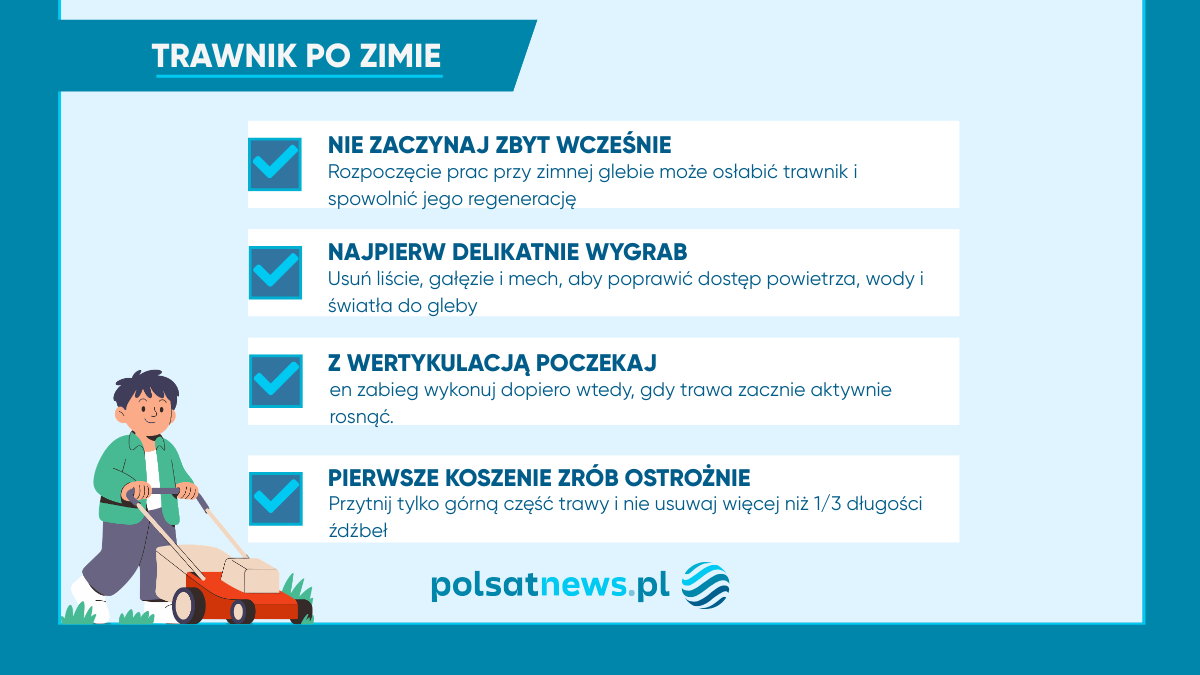 Wiosenna regeneracja trawnika wymaga cierpliwości i odpowiednich zabiegów