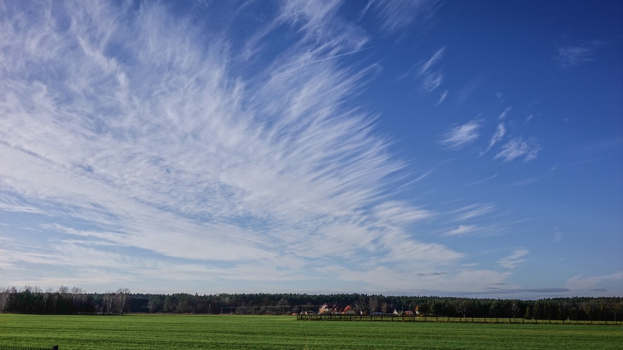 Styczeń w obiektywie - zdjęcie 55