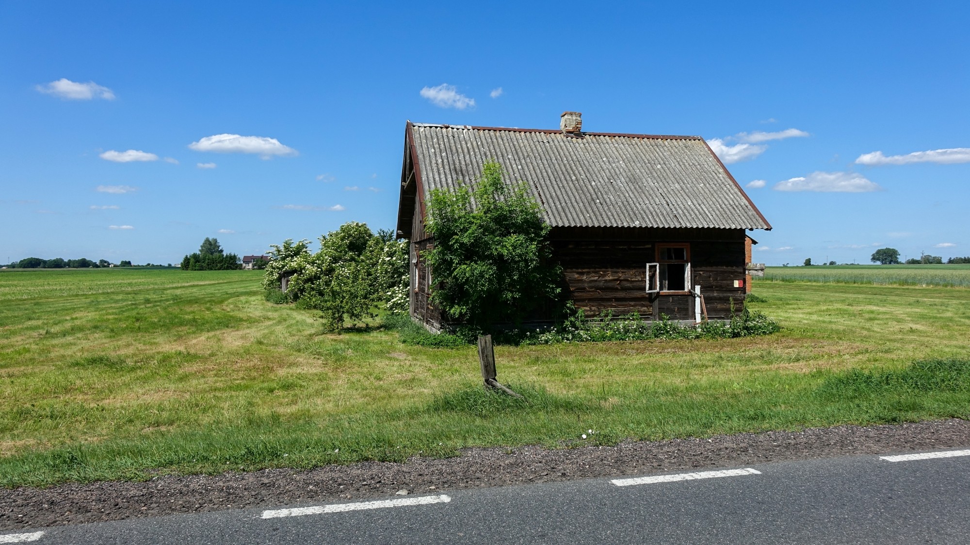 Uroki lata za miastem - zdjęcie 16