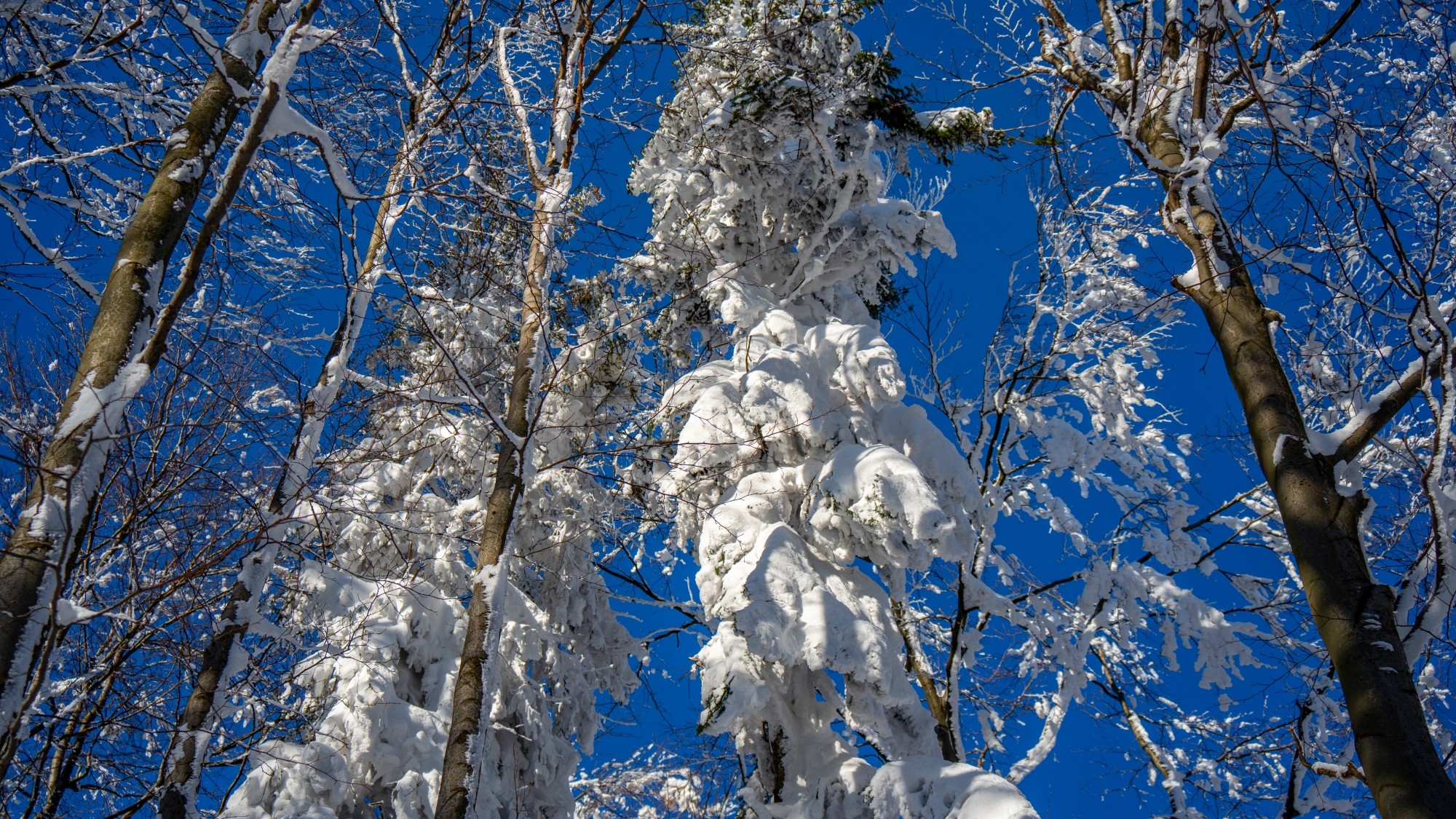 Zima w górach - zdjęcie 24