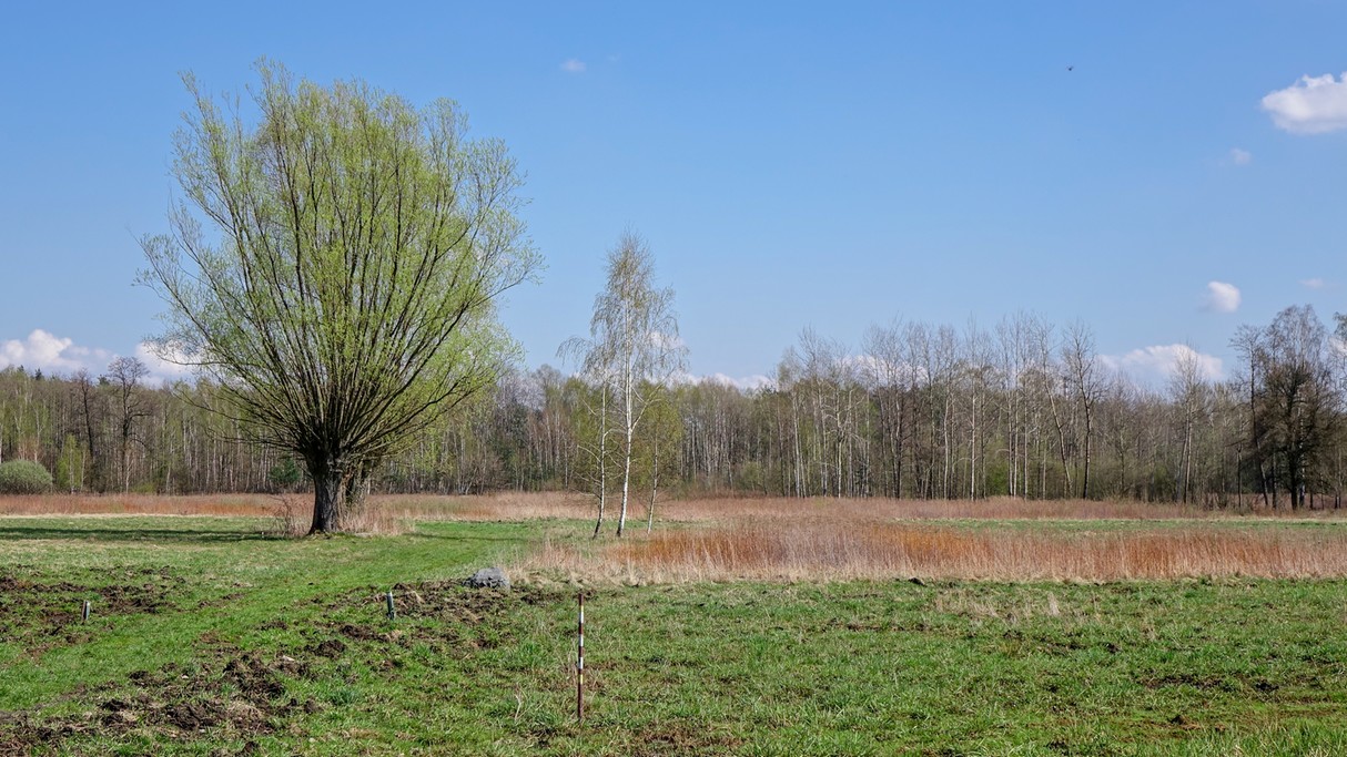 Kwiecień w obiektywie - zdjęcie 49