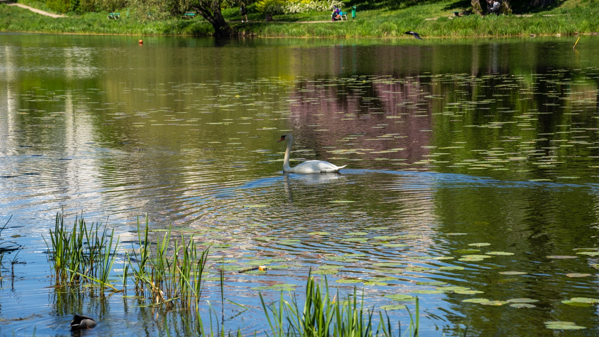 Wiosenna opowieść - zdjęcie 31