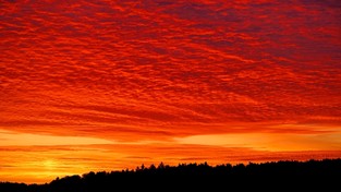28.07.2022 05:54 Niebo na Dolnym Śląsku przybrało apokaliptyczną barwę. To skutek największego pożaru w historii Czech