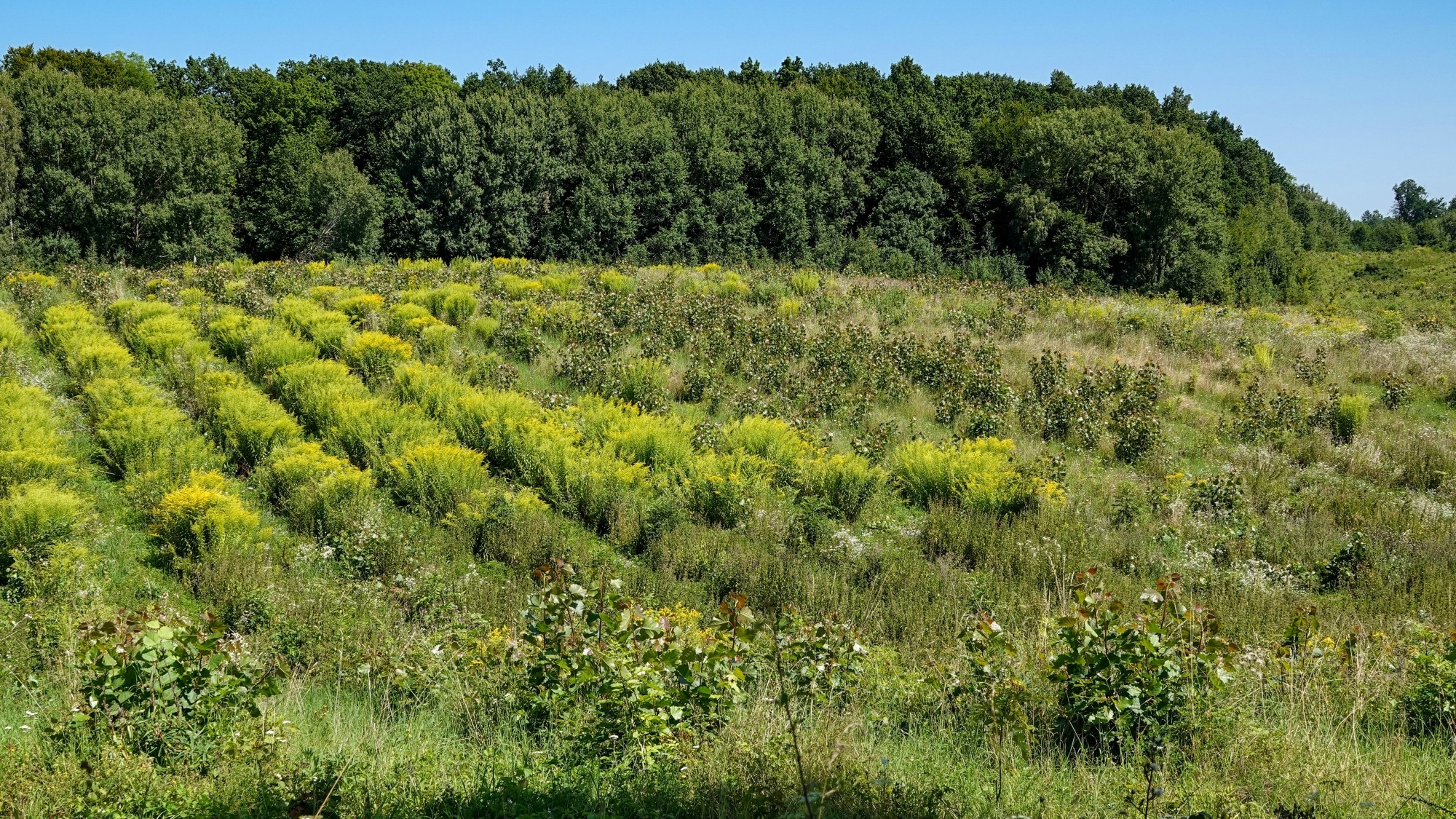 Na pożegnanie lata - zdjęcie 41
