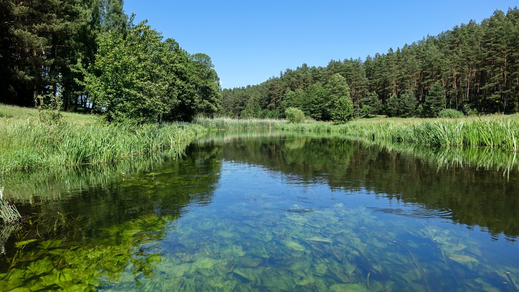Uroki lata za miastem - zdjęcie 9