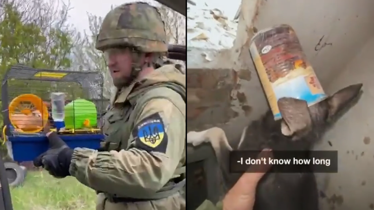 Wojna w Ukrainie. Niosą pomoc zwierzętom na froncie. "Nawet chomika uratowali"