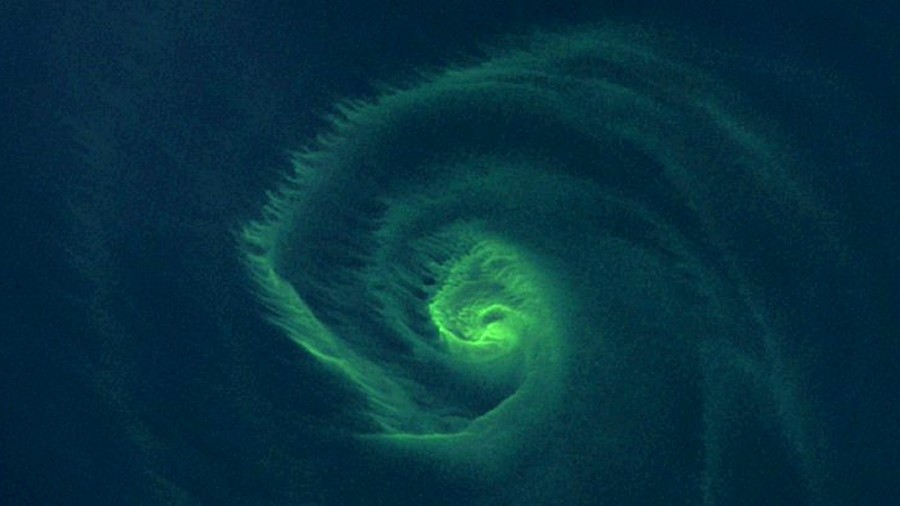 Zdjęcie satelitarne wiru glonów w wodach Zatoki Gdańskiej we wrześniu 2022 roku. Fot. Copernicus EU / Sentinel-2.