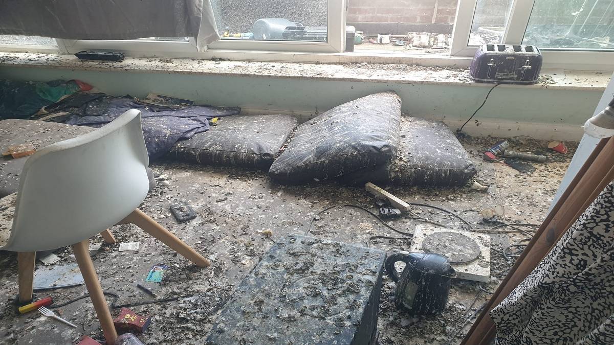 Zniszczone przez gołębie mieszkanie w Londynie. Fot. Facebook / London Network for Pest Solutions.