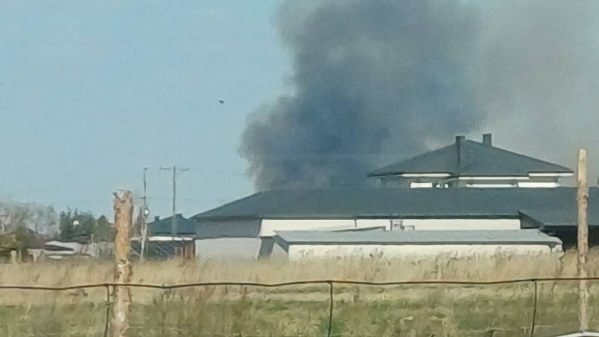 Pożar nieużytków w podwarszawskich Dawidach, strażacy ugasili ogień