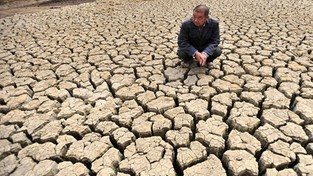 10.04.2021 08:00 Klęska głodu w Korei Północnej. Podobny dramat sprzed 25 lat kosztował życie 3 milionów ludzi