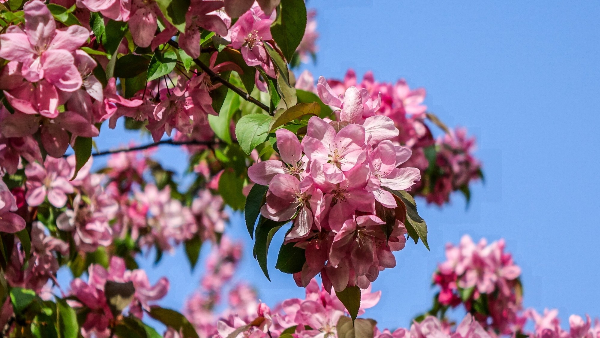 Kwiecień w obiektywie - zdjęcie 43