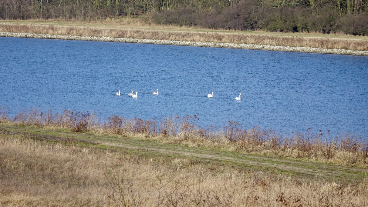 Luty w obiektywie - zdjęcie 8