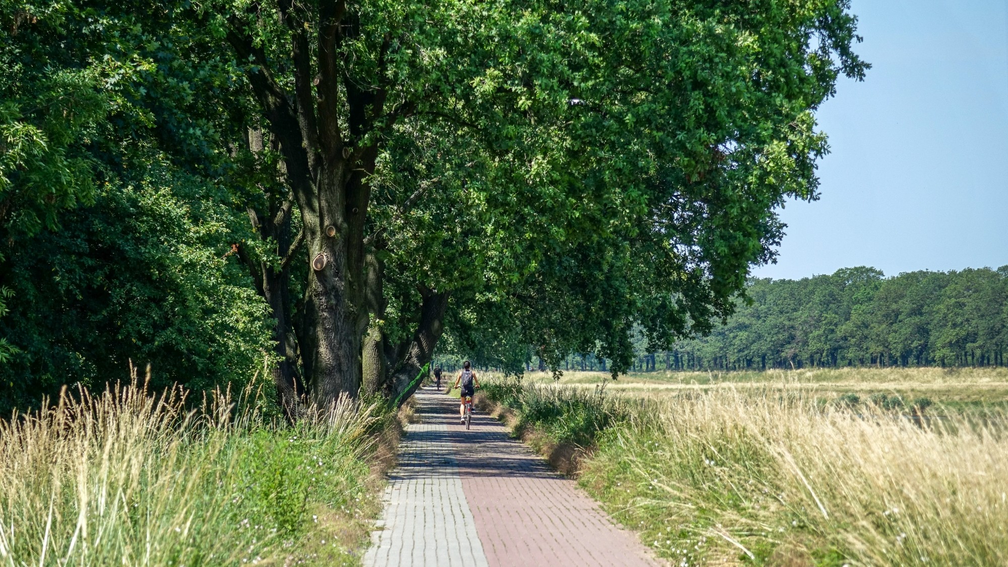 Czerwiec w obiektywie - zdjęcie 38