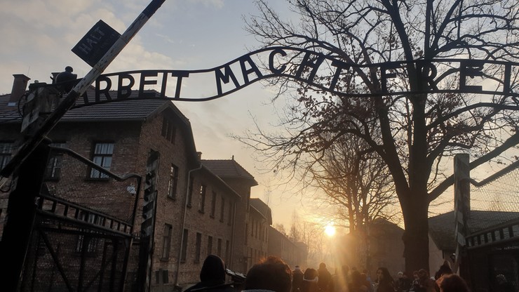 Żydzi stanowili największą grupę deportowanych do Auschwitz oraz jego ofiar