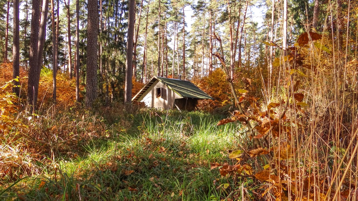 Piękno polskich krajobrazów - zdjęcie 37