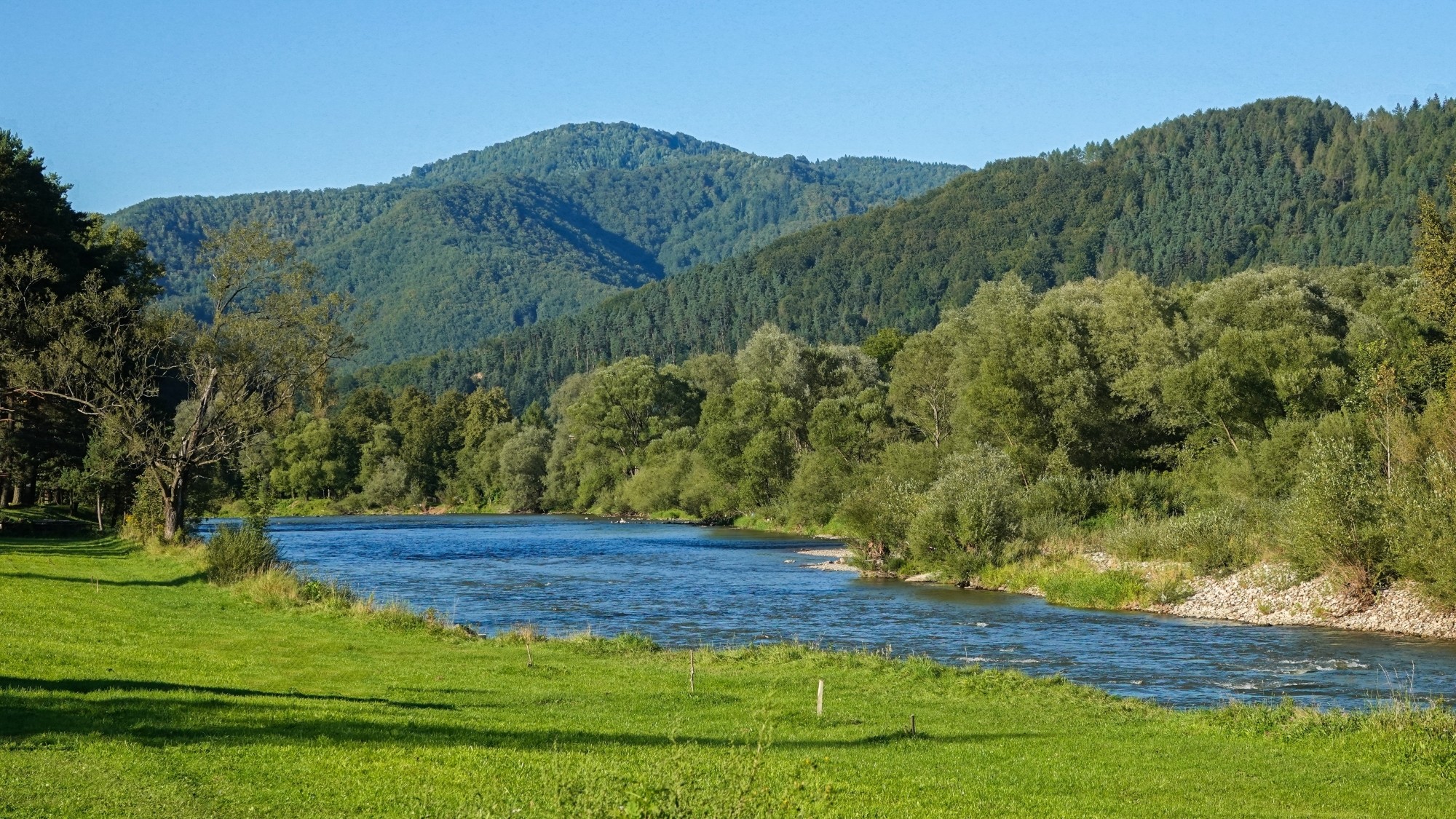 100 najpiękniejszych zdjęć 2020 roku - zdjęcie 15