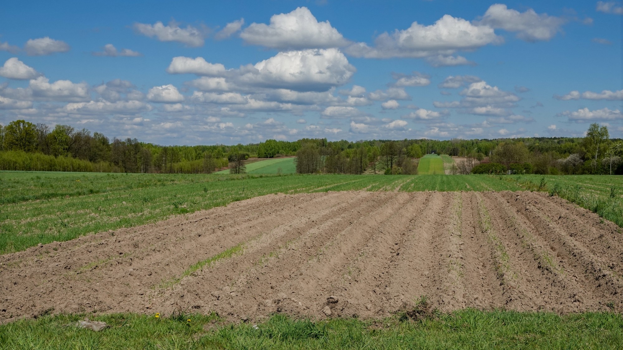 Kwiecień w obiektywie - zdjęcie 34