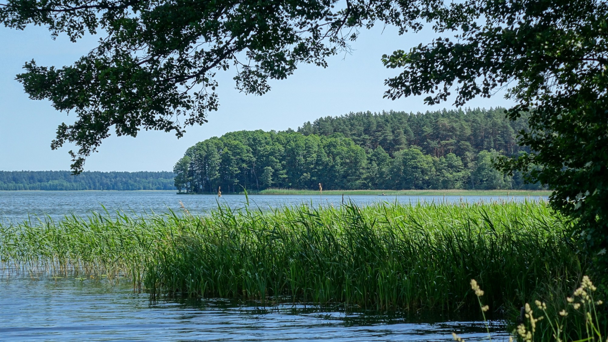 Uroki lata za miastem - zdjęcie 34