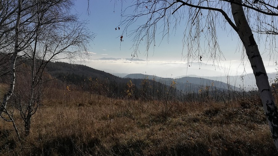 Na Modyni w Beskidzie Wyspowym. Fot. Piotrek / TwojaPogoda.pl