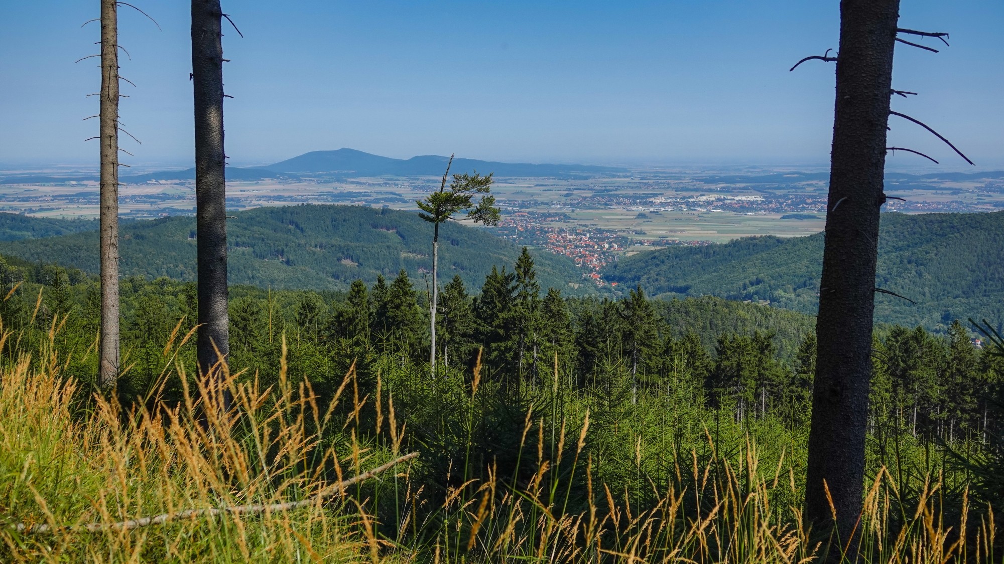 Góry Sowie, Suche i Kamienne - zdjęcie 9