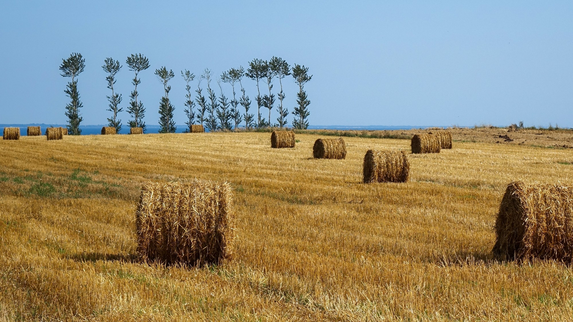 Polskie krajobrazy w 2019 roku - zdjęcie 20