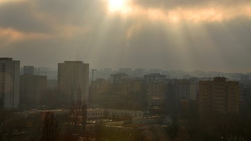 Polska ma najgorszą jakość powietrza w UE. NIK rozpoczyna akcję edukacyjną
