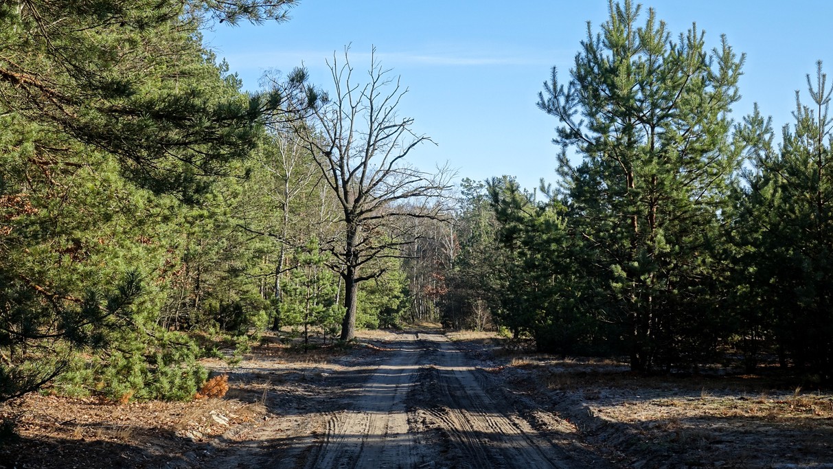 Listopad w obiektywie - zdjęcie 39