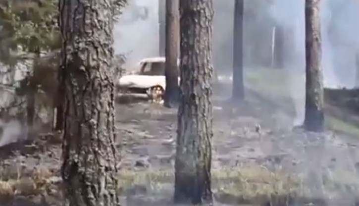 Wjechał autem do lasu. Samochód spłonął, a wraz z nim 20 arów drzew
