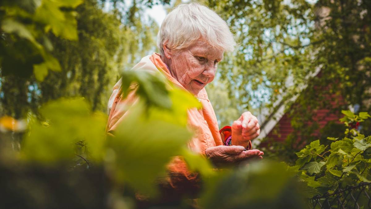 Tak zaczyna się Alzheimer u seniorów. Łatwo zignorować objawy