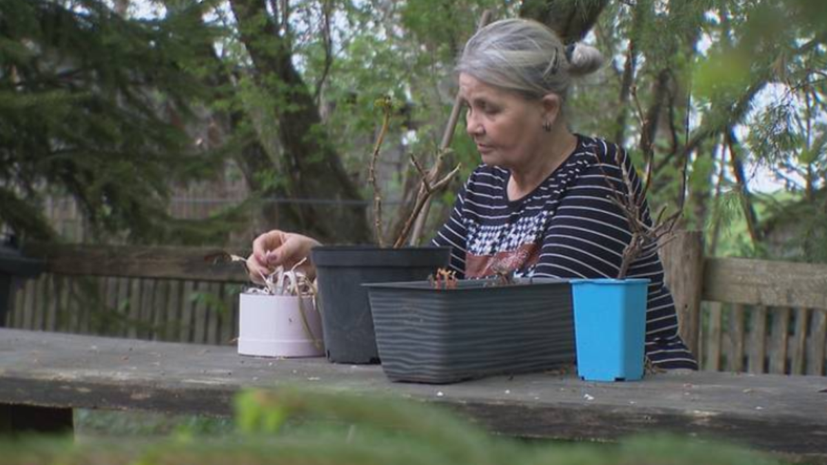 Sołtys pomagała choremu sąsiadowi. Sprawą zajęła się prokuratura