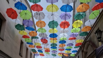 Radnemu nie podobają się kolorowe parasolki. "To przykrywka"